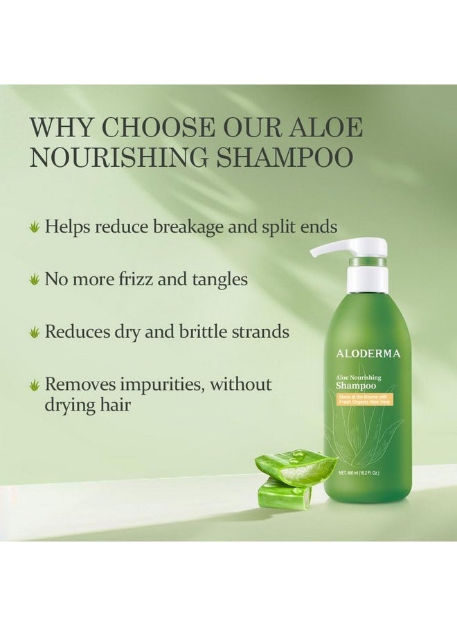 Aloderma Aloderma Aloe Nourishing Shampoo Featuring Fresh, Organic Aloe Vera for Dry and Damaged Hair - Gently Cleanses and Moisturizes Dehydrated Hair for Soft, Healthy Hair - Alcohol, Paraben-Free - 16oz  - Image 3