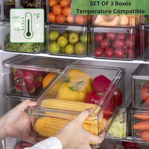 HouseWarming Fridge Storage Boxes Set of 3 - Fridge Storage Containers, Stackable & BPA Safe Container for Kitchen Storage Set, Kitchen Storage Organizer, Vegetable Storage Box - Image 5