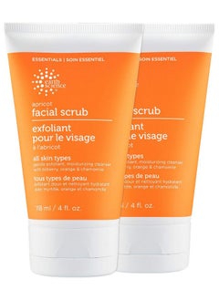Earth Therapeutics EARTH SCIENCE - Apricot Gentle Exfoliating Facial Scrub for All Skin Types (4 oz.)  - Image 1