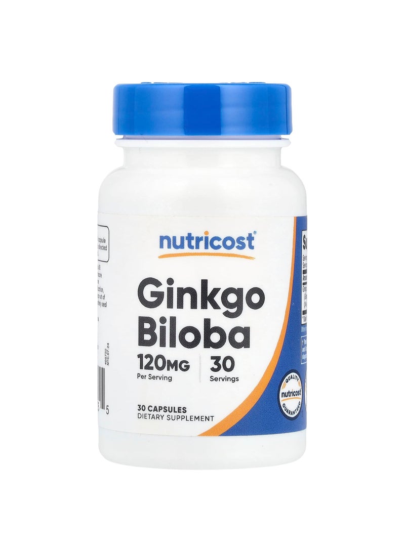Ginkgo Biloba, 120 mg, 30 Capsules