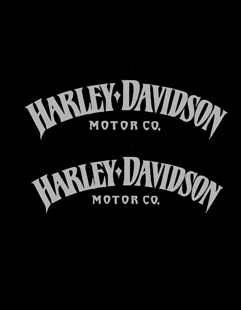 f&b decals Motorcycle Classic Logo Harley Design Vinyl Decal #2 (Right and Left) Piece Moto HD Club 2.5"x8" (Silver) - Image 1