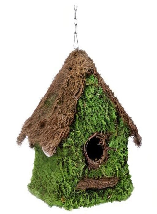 SuperMoss (56012) Maison Birdhouse with Chain, 11 by 12-Inch, Fresh Green - Image 3