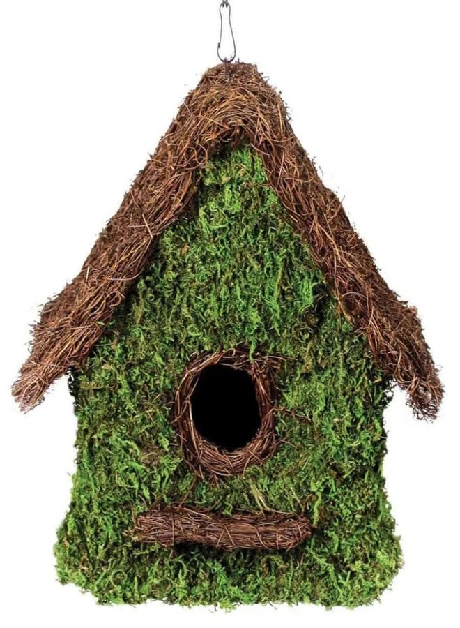 SuperMoss (56012) Maison Birdhouse with Chain, 11 by 12-Inch, Fresh Green - Image 1