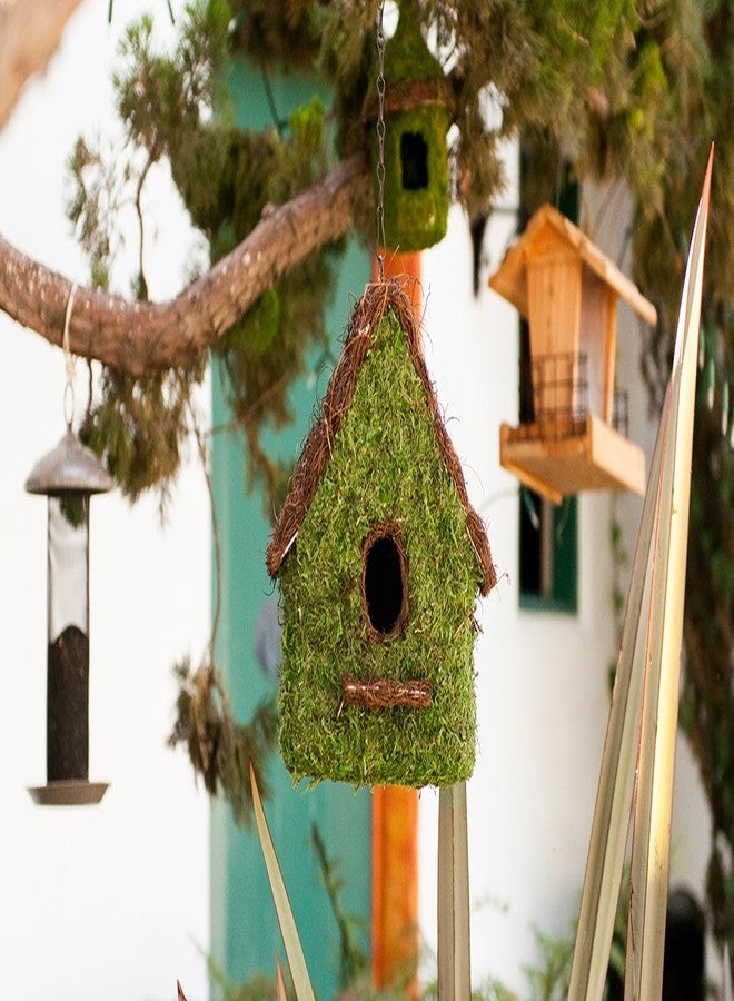 SuperMoss (56012) Maison Birdhouse with Chain, 11 by 12-Inch, Fresh Green - Image 2