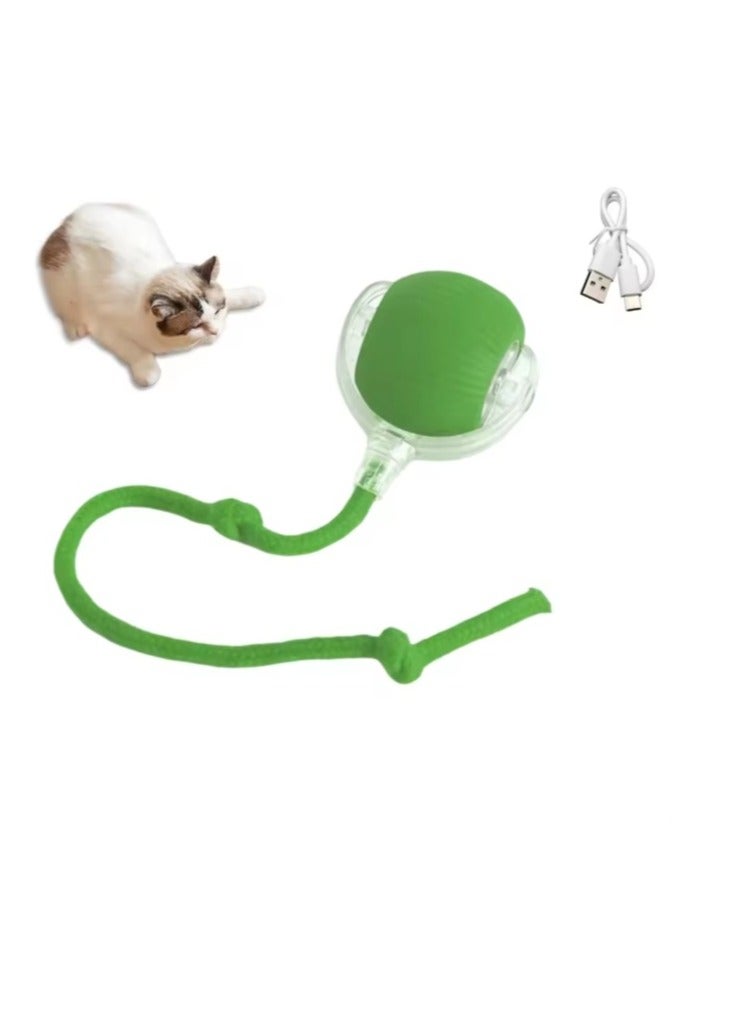 لعبة كرة تفاعلية للقطط والكلاب، كرة ألغاز ذكية داخلية متحركة أوتوماتيكية لتخفيف الملل مع شحن USB، لعبة ممتعة باللون الاخضر - Image 3