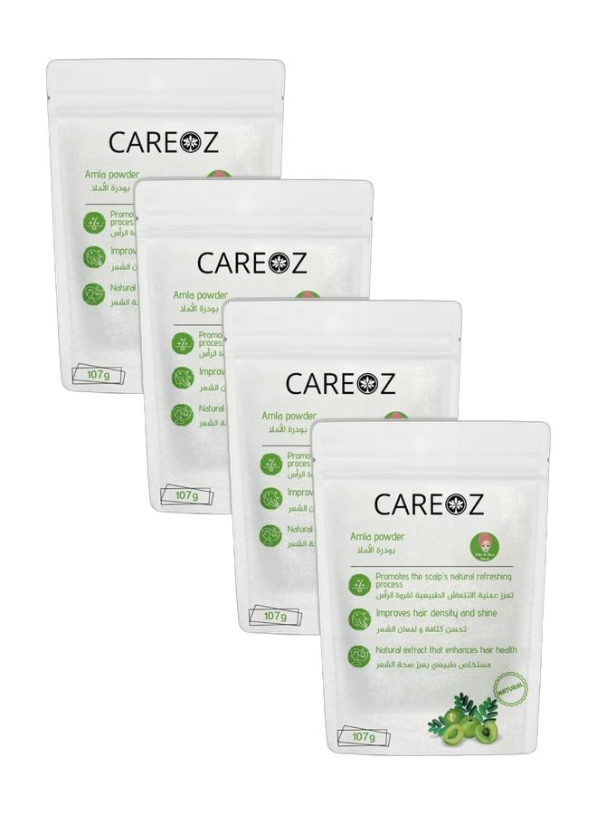 Careoz Hair Thinning & Hair Loss Ultimate Ayurvedic 4-Pack Bundle for Incredible One-Price Value - Image 1