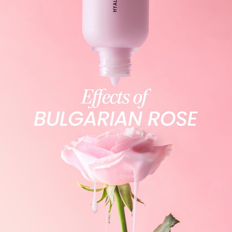 DERMALOGY by NEOGENLAB DERMALOGY by Neogen Hyal Glow Rose Essence - Hydrating Essence with 74% of Damask Rose Water & Flower Oil & Extract 160ml / 5.41 oz - Image 5