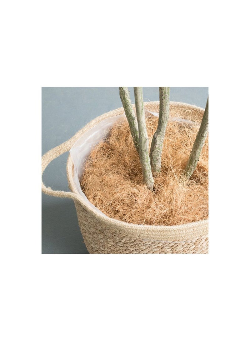 Meetion غطاء أصيص زهور مصنوع من ألياف قشر جوز الهند الطبيعي 200 جرام، مقاوم للحشرات، يحمي التربة الخاصة بالنباتات والزهور ويحافظ على الدفء، فراش الزواحف، عش الطيور - Image 4