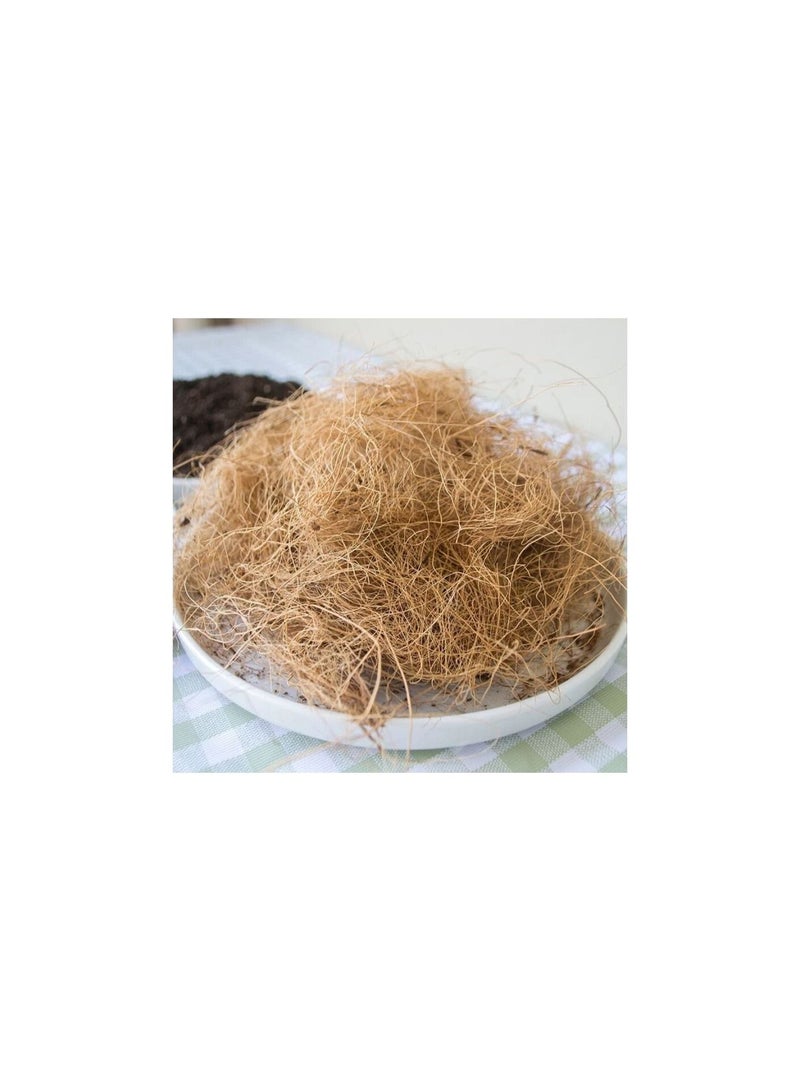 Meetion غطاء أصيص زهور مصنوع من ألياف قشر جوز الهند الطبيعي 200 جرام، مقاوم للحشرات، يحمي التربة الخاصة بالنباتات والزهور ويحافظ على الدفء، فراش الزواحف، عش الطيور - Image 3