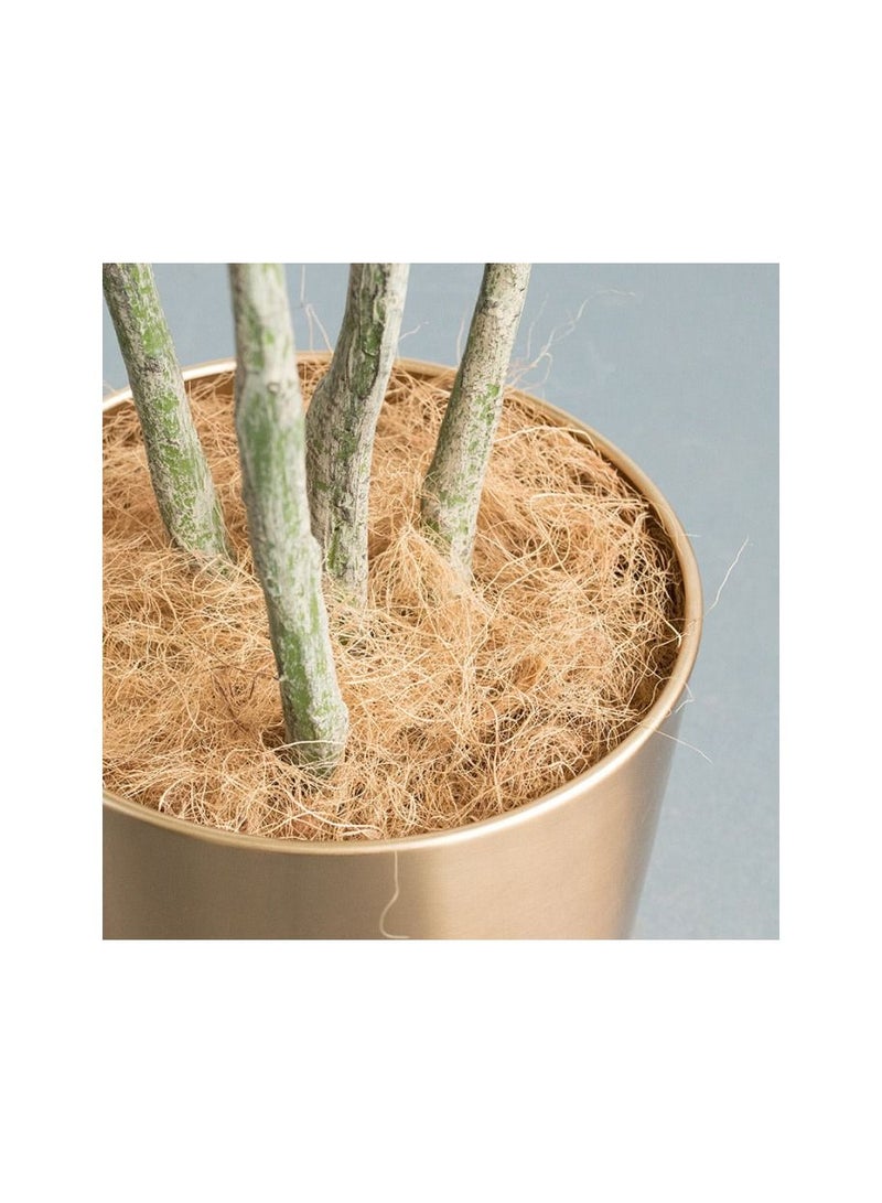 Meetion غطاء أصيص زهور مصنوع من ألياف قشر جوز الهند الطبيعي 200 جرام، مقاوم للحشرات، يحمي التربة الخاصة بالنباتات والزهور ويحافظ على الدفء، فراش الزواحف، عش الطيور - Image 5