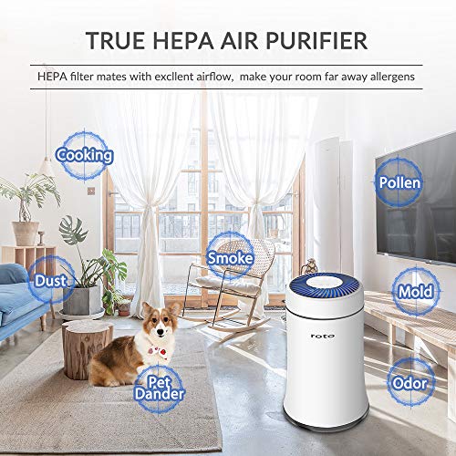 Roto HEPA Filter, H13 Upgraded True HEPA 3 Stages Filtration Filter, High-Efficiency Activated Carbon Filter for Hisense - Image 3