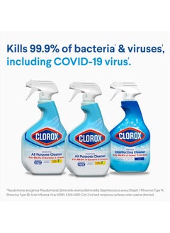 Disinfecting All-Purpose Cleaner 32 Oz and Disinfecting Bathroom Cleaner, Household Essentials, 30 Oz, Pack of 3 - pzsku/ZC89F5E3EBA9B64FD5009Z/45/_/1715541524/130b9138-0e07-4812-8e66-2cd522e08a54