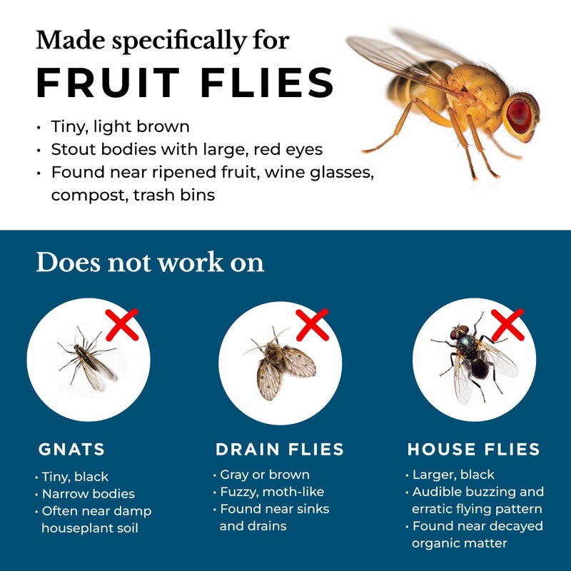 Wondercide - Fruit Fly Traps for Indoors - Fruit Fly Killer - Pet and People Safe - Made in USA & Plant Based - 5.4 oz - 2 Pack - Image 5