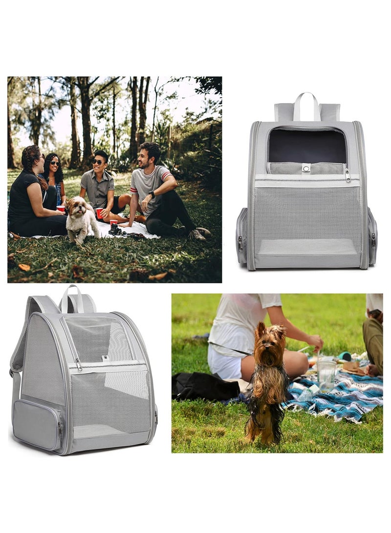 بي جي إم , حقيبة ظهر للحيوانات الأليفة للكلاب والقطط الصغيرة | تصميم جيد التهوية، أشرطة أمان، دعم بإبزيم، قابل للطي | مصممة للسفر والمشي لمسافات طويلة والاستخدام الخارجي (رمادي فاتح) - Image 3