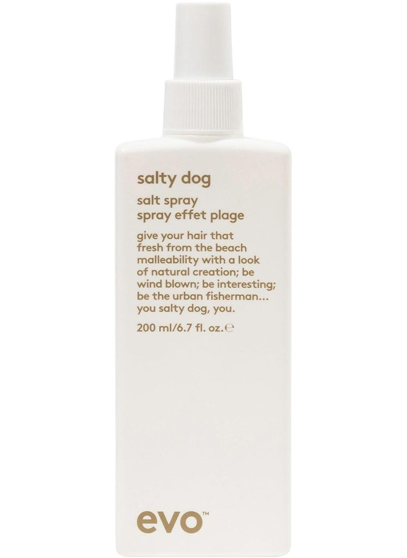 EVO Salty Dog Salt Spray, 200ml
