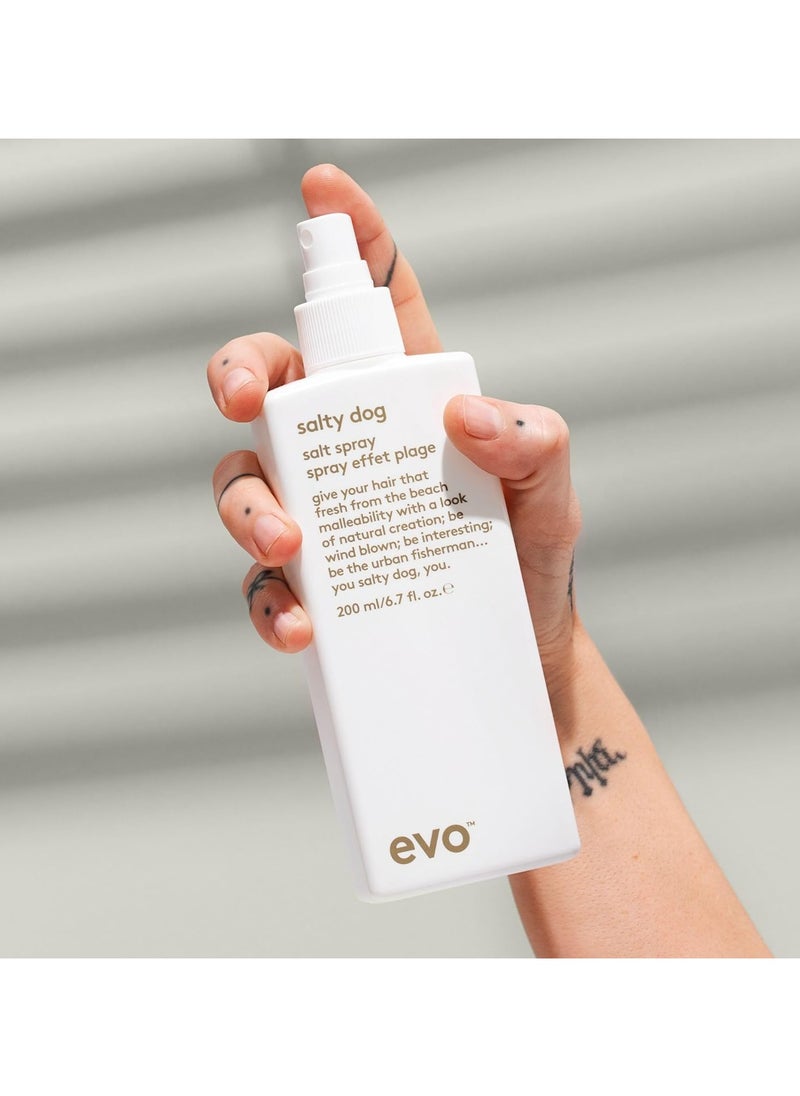 EVO Salty Dog Salt Spray, 200ml