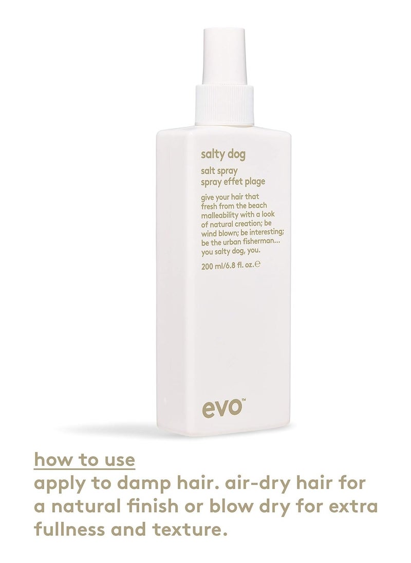 EVO Salty Dog Salt Spray, 200ml
