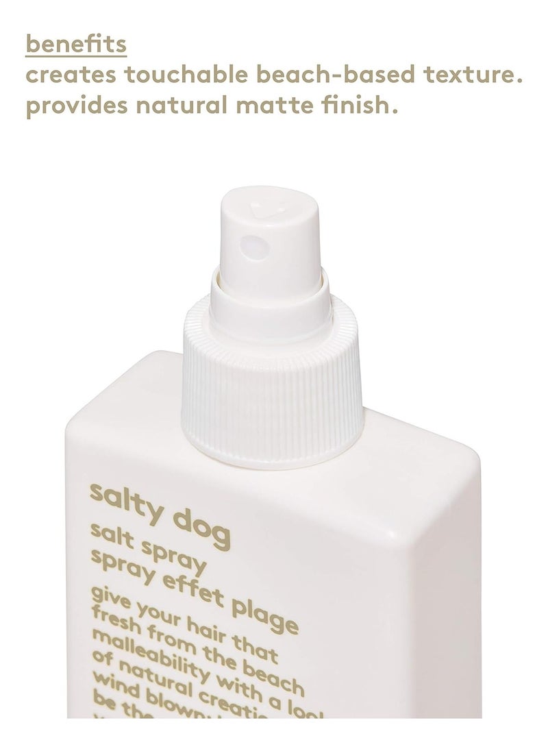 EVO Salty Dog Salt Spray, 200ml
