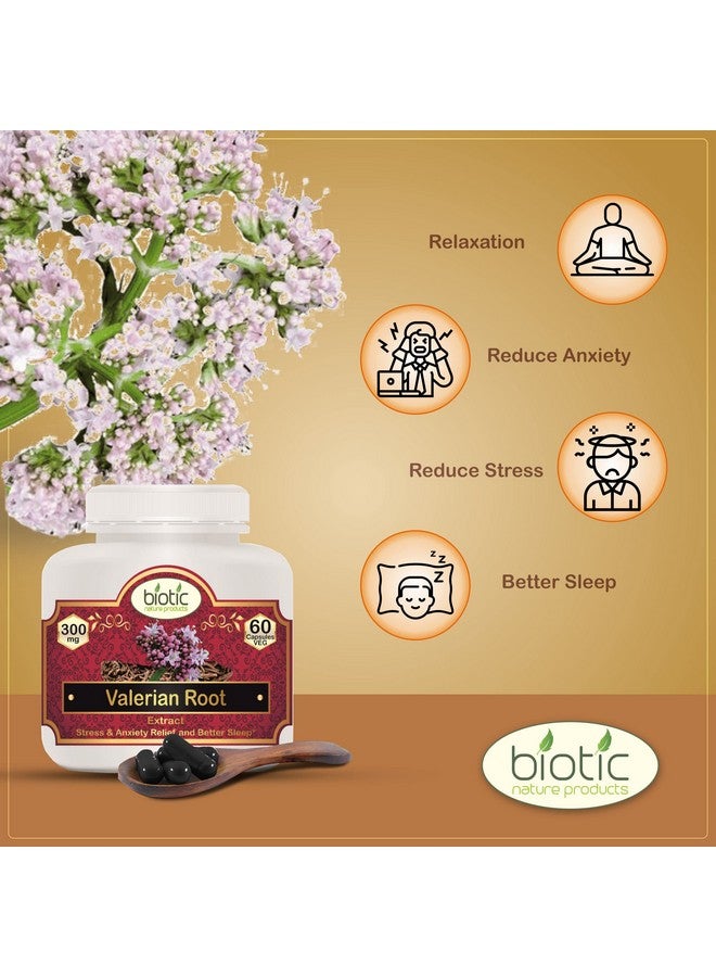 Biotic جذر فاليريان البيوتي - كبسولات تاجارا - كبسولة تاجار - كبسولات فاليريان - مستخلص 300 ملغ - 60 كبسولة نباتية - Image 3