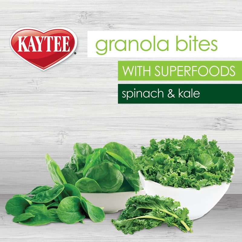 Kaytee Granola Bites with Super Foods Spinach and Kale for Pet Birds, Conure, Cockatiel, Lovebird, Parakeet, Amazon, African Grey, Ecletus, Pionus, Cockatoos and Macaws, 4.50 Ounce (Pack of 1) - Image 3