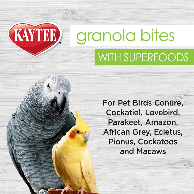 Kaytee Granola Bites with Super Foods Spinach and Kale for Pet Birds, Conure, Cockatiel, Lovebird, Parakeet, Amazon, African Grey, Ecletus, Pionus, Cockatoos and Macaws, 4.50 Ounce (Pack of 1) - Image 5
