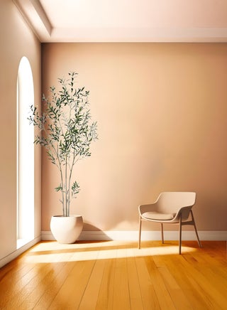 2.1M Olive tree