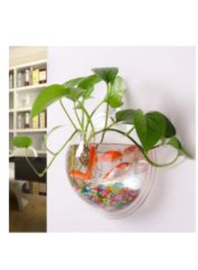 AS SEEN ON TV وعاء نباتات معلق على الحائط من الأكريليك لتزيين المنزل شفاف - Image 5