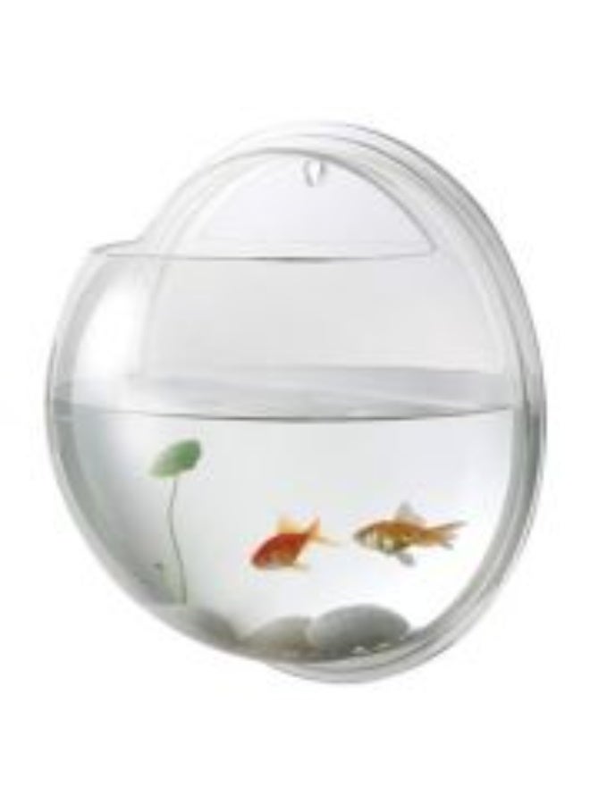 AS SEEN ON TV وعاء نباتات معلق على الحائط من الأكريليك لتزيين المنزل شفاف - Image 1