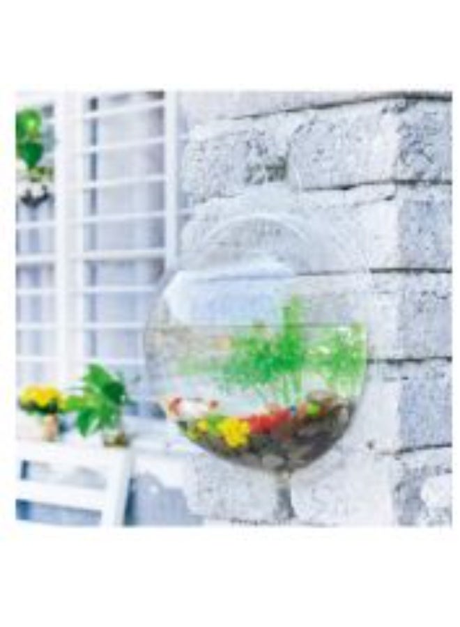 AS SEEN ON TV وعاء نباتات معلق على الحائط من الأكريليك لتزيين المنزل شفاف - Image 4