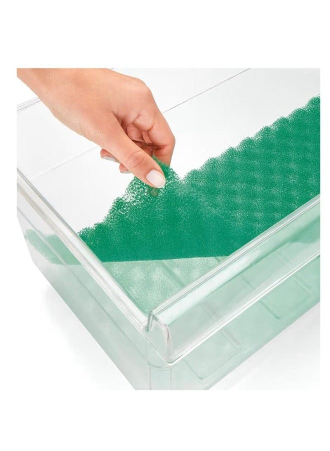 Rayen Spanish Vegetable Saver Base for Fridge – Keeps Vegetables Fresh Longer - Image 4