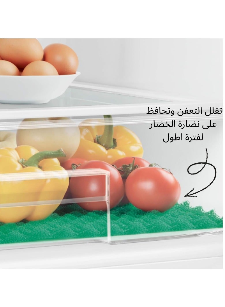 Rayen Spanish Vegetable Saver Base for Fridge – Keeps Vegetables Fresh Longer - Image 1
