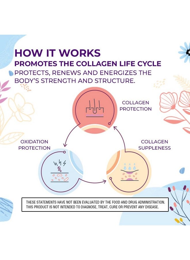 Body Kitchen بودرة الكولاجين المتقدمة من بادي كيتشن لجمال الشباب مع ريسفيراترول وحمض الهيالورونيك 10 أونصات وبرو-إيلاستين، عدد 60 - Image 4