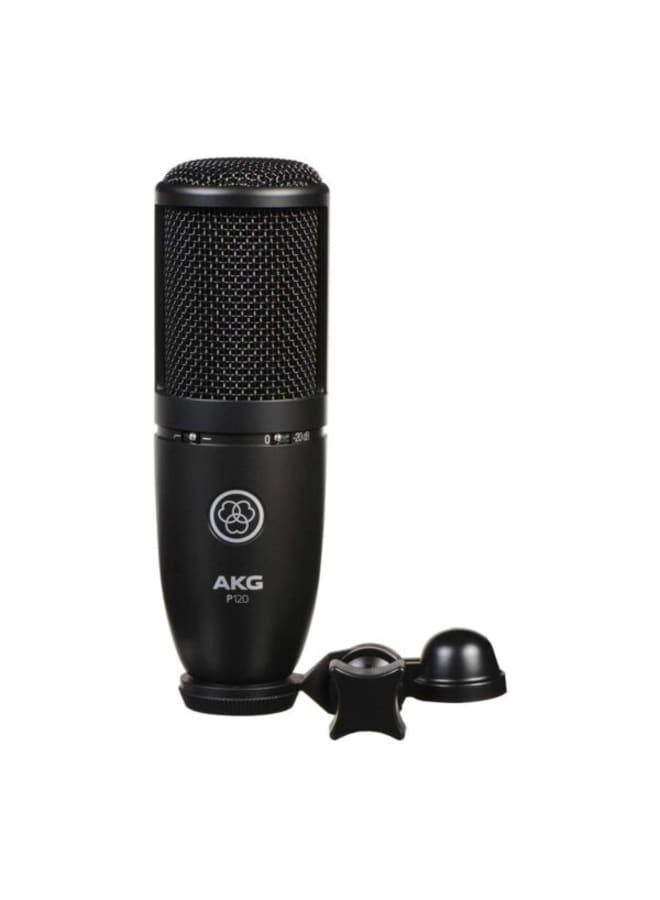 AKG P120 - Image 3