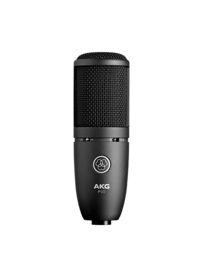 AKG P120 - Image 2