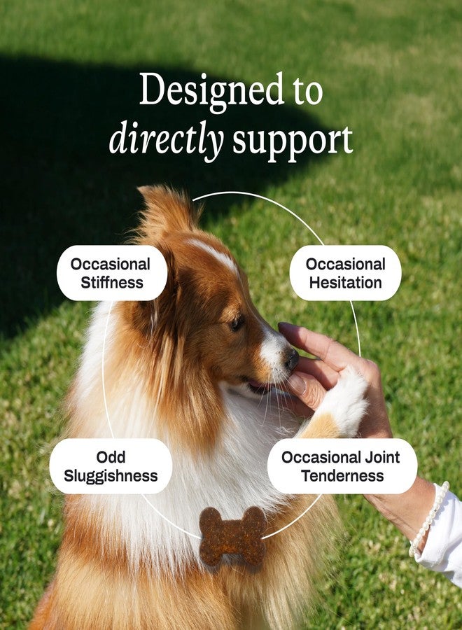 PetLab Co. Joint Care Chews - High Levels of Glucosamine for Dogs, Green Lipped Mussels, and Omega 3 - Dog Hip and Joint Supplement to Actively Support Mobility - Packaging May Vary - Salmon - Image 4