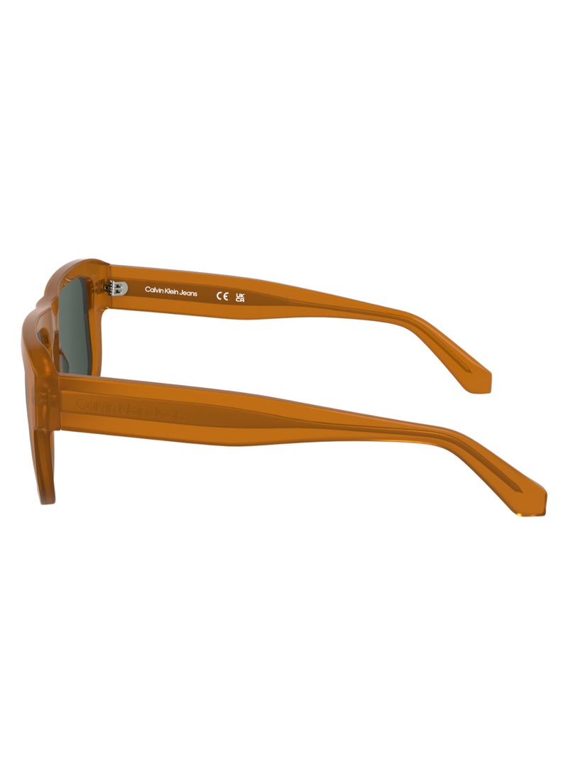Calvin Klein Jeans FULL RIM ACETATE ACETATE CALVIN KLEIN JEANS SUN CKJ24607S 5517 (201) BROWN TO HAVANA - Image 4