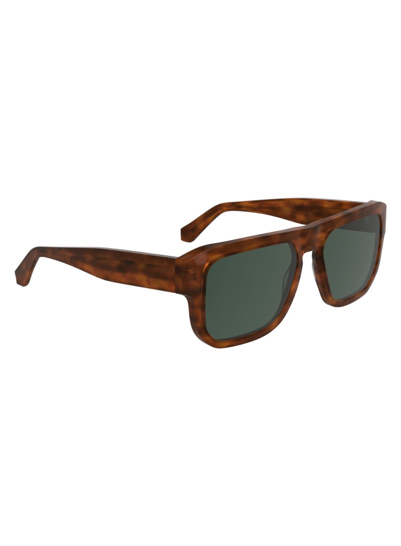 Calvin Klein Jeans FULL RIM ACETATE ACETATE CALVIN KLEIN JEANS SUN CKJ24607S 5517 (201) BROWN TO HAVANA - Image 5