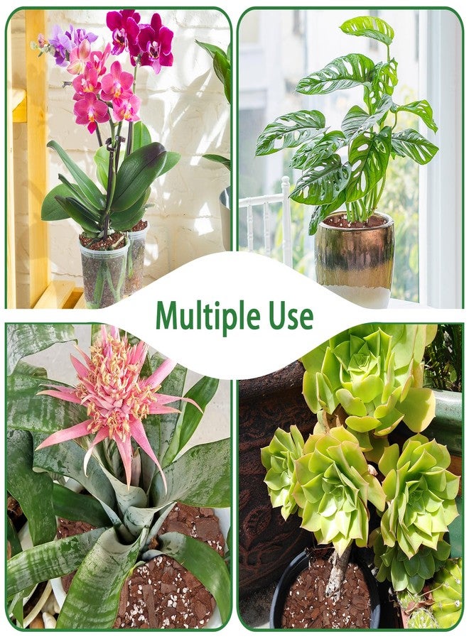 POLIUMB Orchid Potting Mix,Premium Orchid Bark Potting Mixture of Pine Bark,Perlite & Coco Peat Enhanced Drainage and Ventilation,Ideal for Repotting and Growing Indoor Plants Dendrobiums,Phalaenopsis,1QT - Image 3