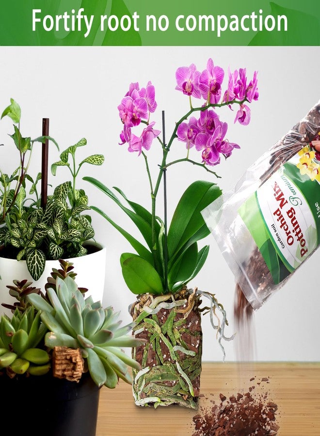 POLIUMB Orchid Potting Mix,Premium Orchid Bark Potting Mixture of Pine Bark,Perlite & Coco Peat Enhanced Drainage and Ventilation,Ideal for Repotting and Growing Indoor Plants Dendrobiums,Phalaenopsis,1QT - Image 4