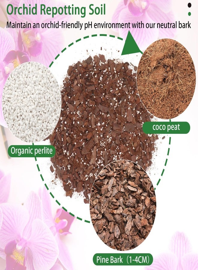 POLIUMB Orchid Potting Mix,Premium Orchid Bark Potting Mixture of Pine Bark,Perlite & Coco Peat Enhanced Drainage and Ventilation,Ideal for Repotting and Growing Indoor Plants Dendrobiums,Phalaenopsis,1QT - Image 2