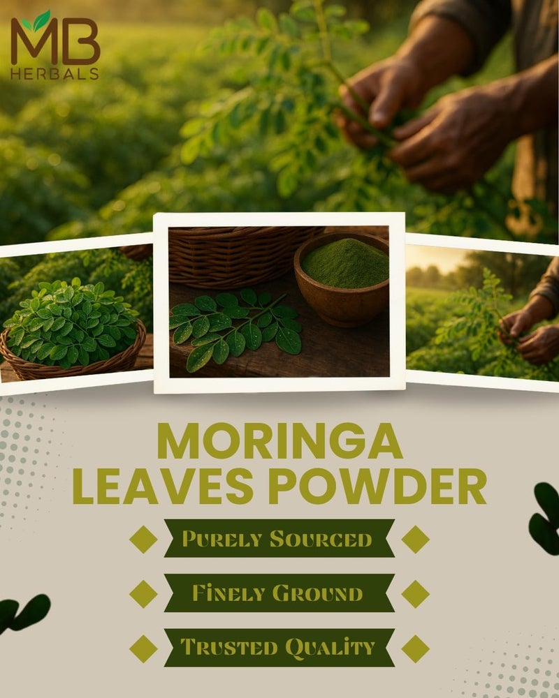 MB Herbals Moringa Leaf Powder 8 oz (227g / 0.5 LB) | 100% Pure Moringa Powder | Easily Mixes in Drinks & Smoothies | No Preservatives - Image 4