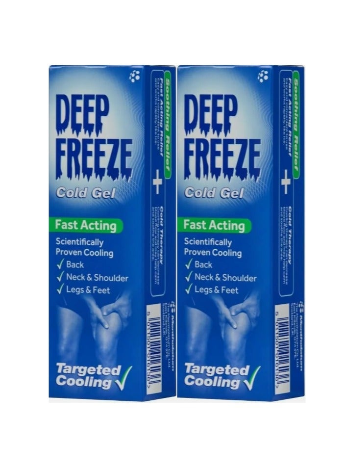 Deep Freeze Pain Relief Cold Gel 100G 2PCS - Image 1