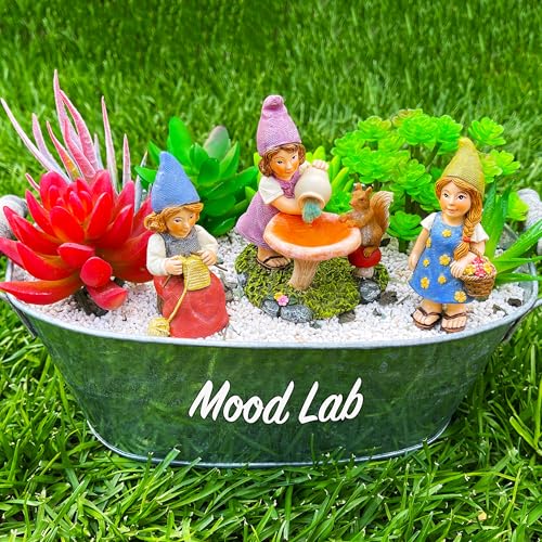 Mood Lab Miniature Garden Gnomes - Lady Gnomes Kit of 3 pcs - Figurines & Accessories Set - Outdoor or House Decor - Image 5