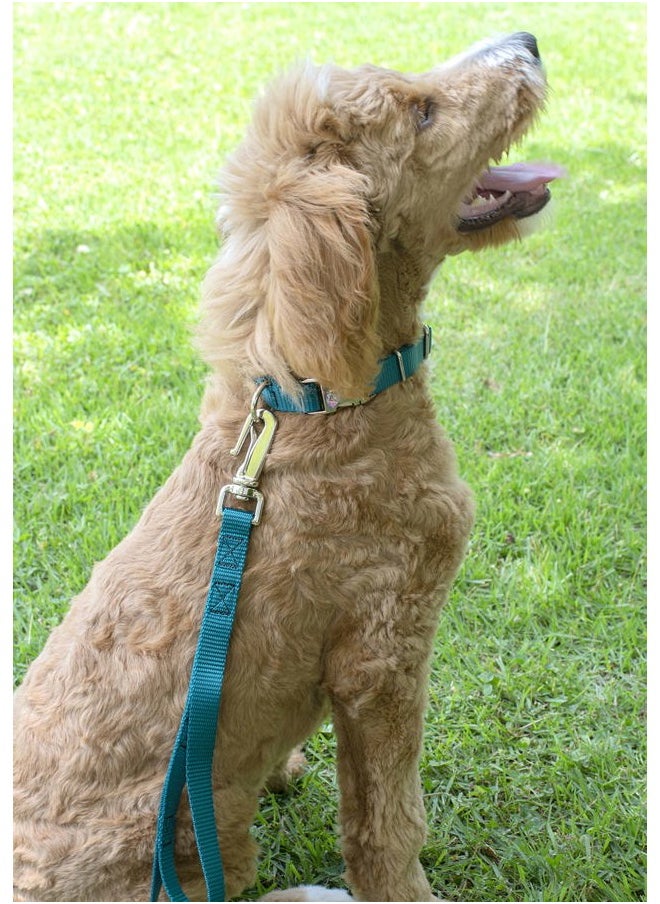 Country Brook Design Country Brook Petz Premium Nylon Dog Collar with Metal Buckle for Small Medium Large Breeds - Vibrant 30+ Color Selection (Large, 1 Inch, Teal)  - Image 2