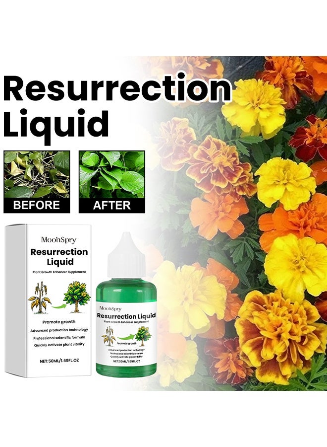 MOONSPRY Plant Activation Liquid Solution, Plant Resurrection & Growth Enhancer, Liquid Fertilizer For Seedlings, Rooting Hormones For Cuttings, Plant Growth Supplement, Liquid Fertilizer For Seedlings And Cuttings, 50ML - Image 2