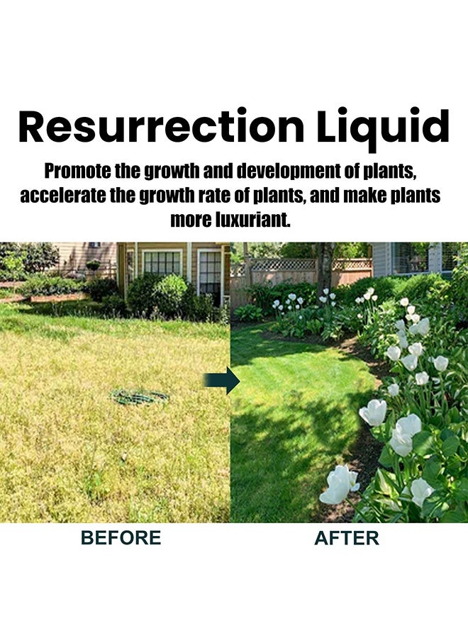 MOONSPRY Plant Activation Liquid Solution, Plant Resurrection & Growth Enhancer, Liquid Fertilizer For Seedlings, Rooting Hormones For Cuttings, Plant Growth Supplement, Liquid Fertilizer For Seedlings And Cuttings, 50ML - Image 5
