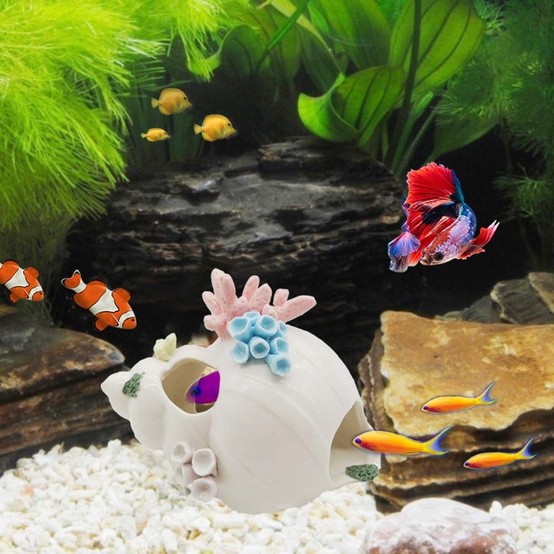 Starryfill Aquarium Decorations White Ceramic Conch Thematic Ornament with Three Holes for Betta Fish Passing or Hiding SafelyBetta Fish Tank for Small and Medium Fish