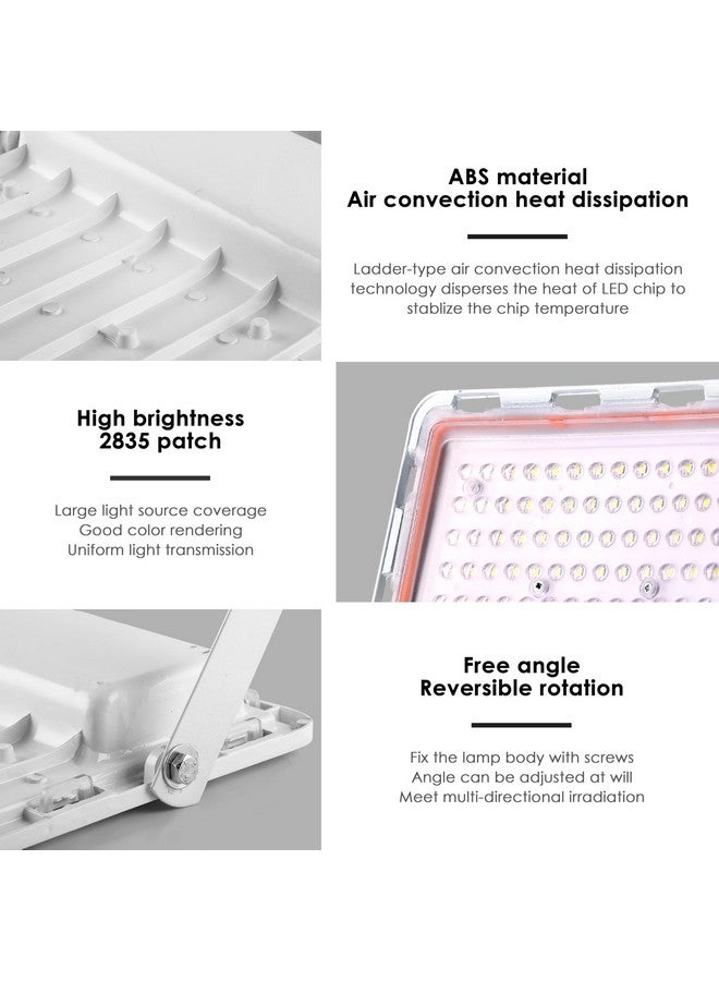 Gesto Gesto 100W Lens Flood Light - Ip66 Waterproof Led Lights with 120 Wide Beam | Halogen Light,Focus Light for Yard,Showroom,Shop, Factory,Garden,Temple,Tent, Warehouse,Playground (Cool White)-Pack of 2  - Image 4