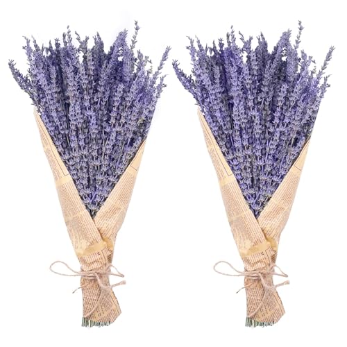 Uieke حزم اللافندر المجفف، زهور اللافندر المجففة الطبيعية من Uieke 280-300 ساق 16" لتزيين حفلات الزفاف المنزلية وترتيبات الزهور وعطر المنزل 2 حزمة - Image 1