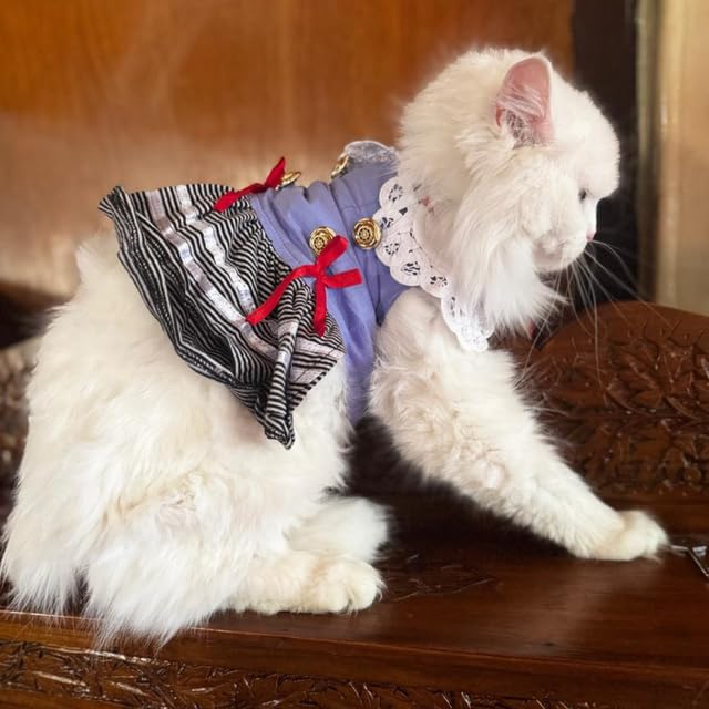 Lulala Pet Cloth Cute Pet Sundress Ribber Work Pet Princess Dress Puppy Summer Apparel Clothes Pet Skirt Shirt with Ruffles lace on Collar for Small Pets(18 Inch,Light Blue) - Image 1